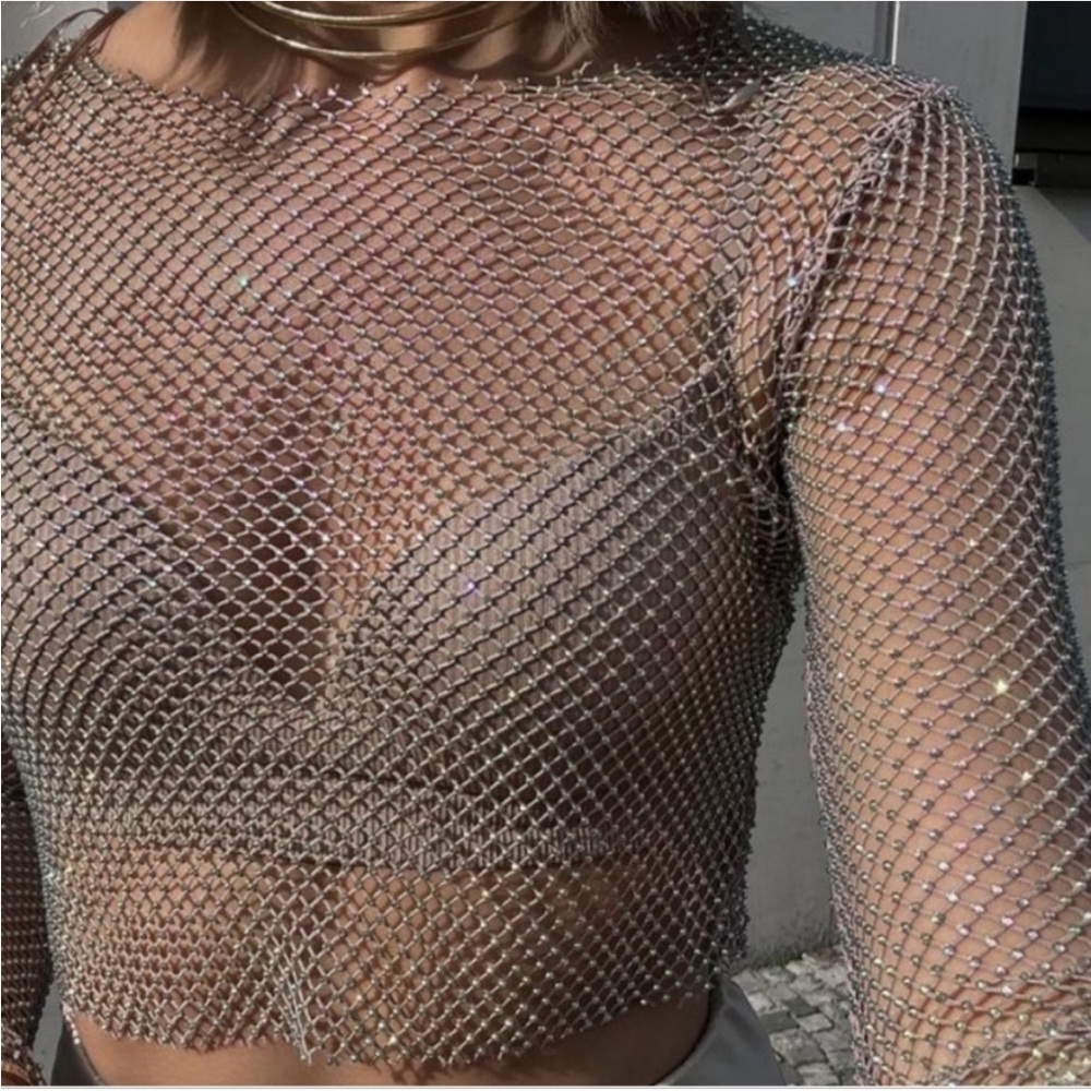 Zara Silver Mesh Long Sleeve Top